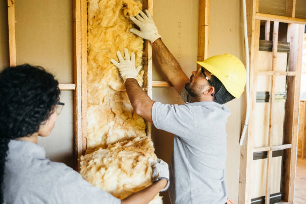 Best Fiberglass Insulation  in Mineola, NY