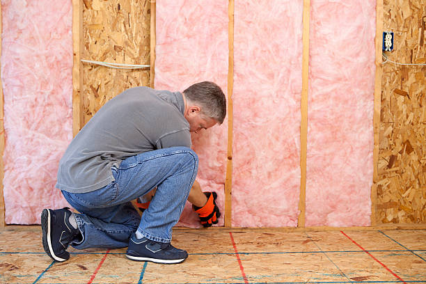Insulation Inspection Services in Mineola, NY