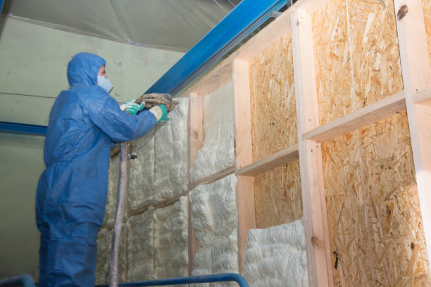 Best Energy-efficient Insulation  in Mineola, NY
