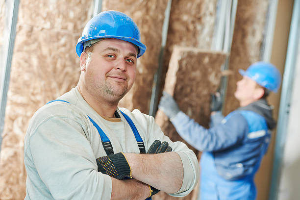 Best Insulation for New Construction  in Mineola, NY